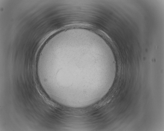 X0000082760836200702240102