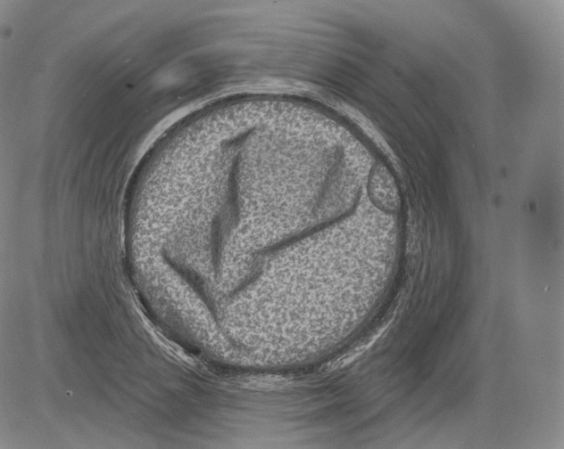 X0000082760837200702240102