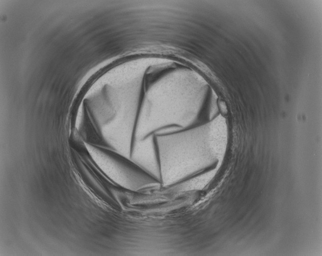 X0000082760838200702240102