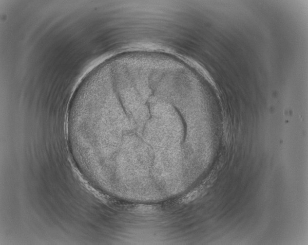 X0000082760839200702240102