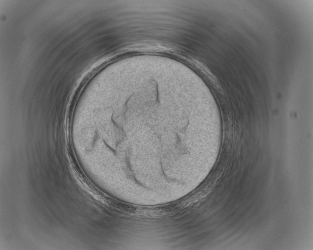 X0000082760840200702240102