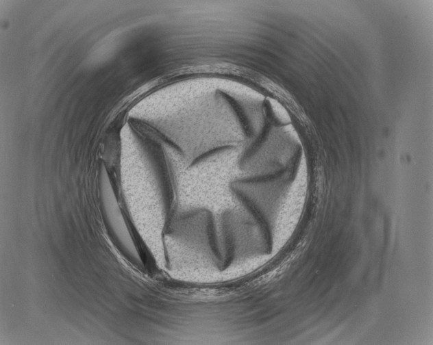 X0000082760841200702240102