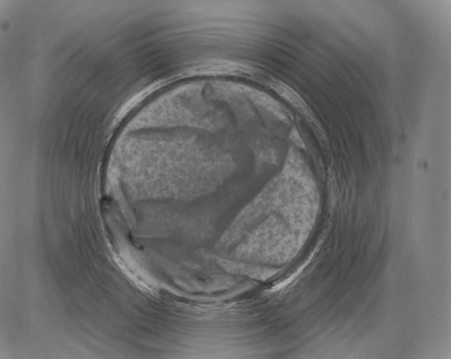 X0000082760842200702240102