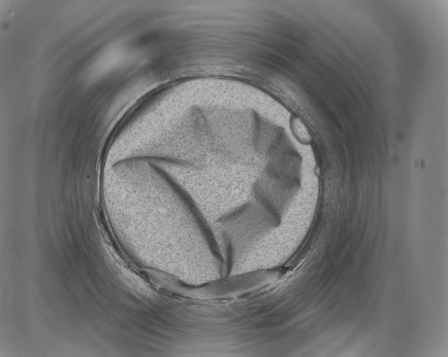 X0000082760844200702240102