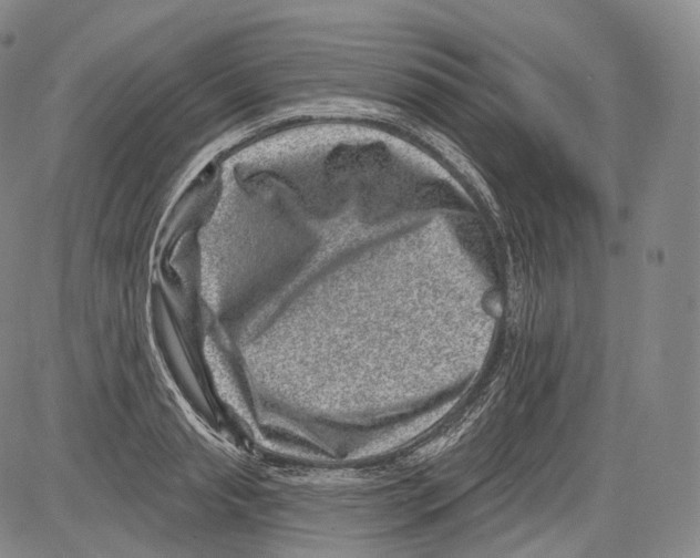 X0000082760845200702240102