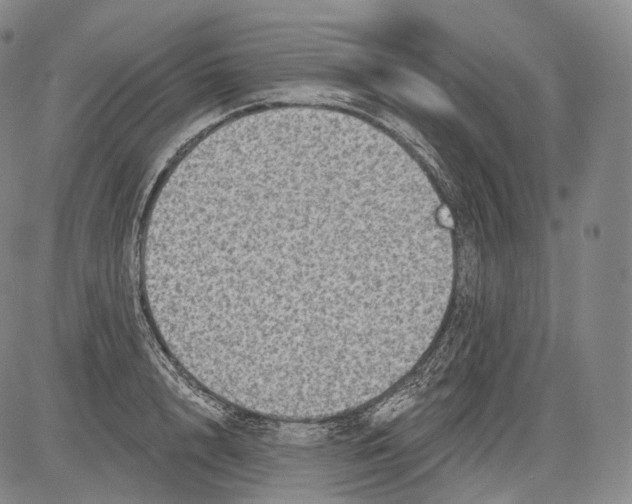 X0000082760848200702240103