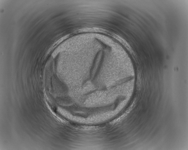 X0000082760849200702240103