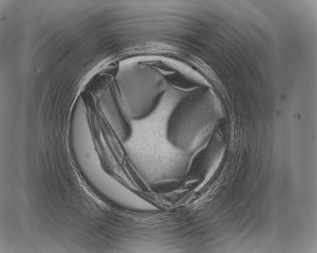 X0000082760850200702240103