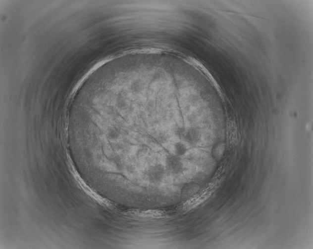 X0000082760851200702240103