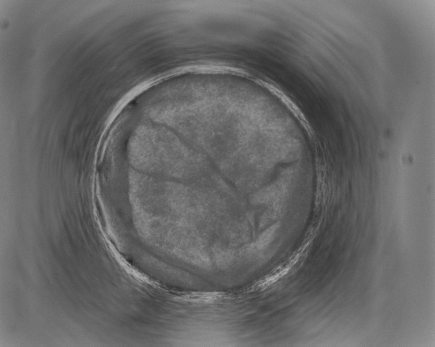 X0000082760853200702240103