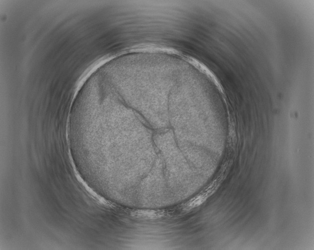 X0000082760855200702240103