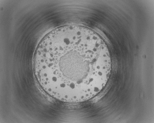 X0000082760856200702240103