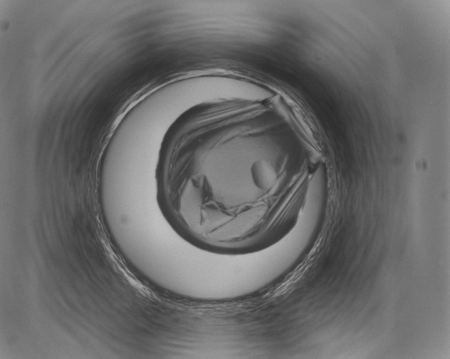 X0000082760858200702240103