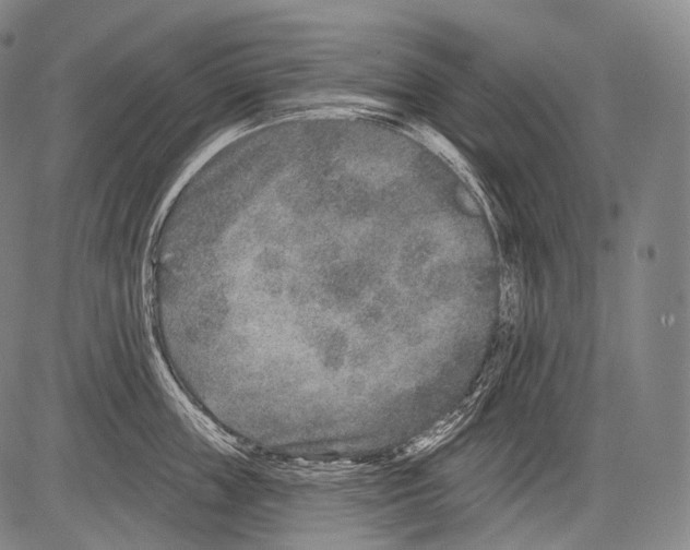 X0000082760859200702240103