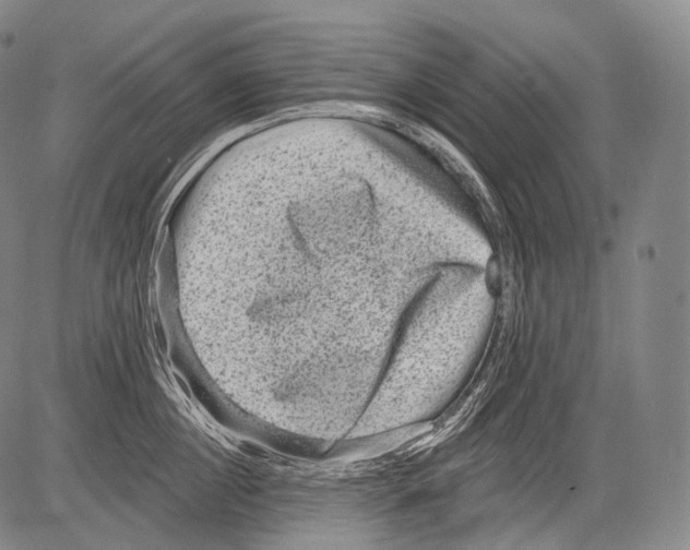 X0000082760860200702240103