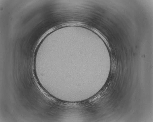 X0000082760861200702240103