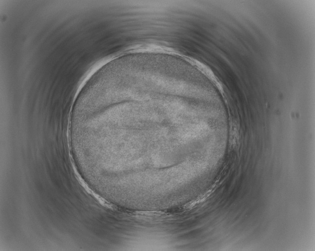 X0000082760863200702240103