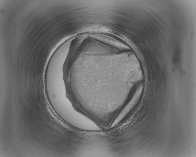 X0000082760864200702240103