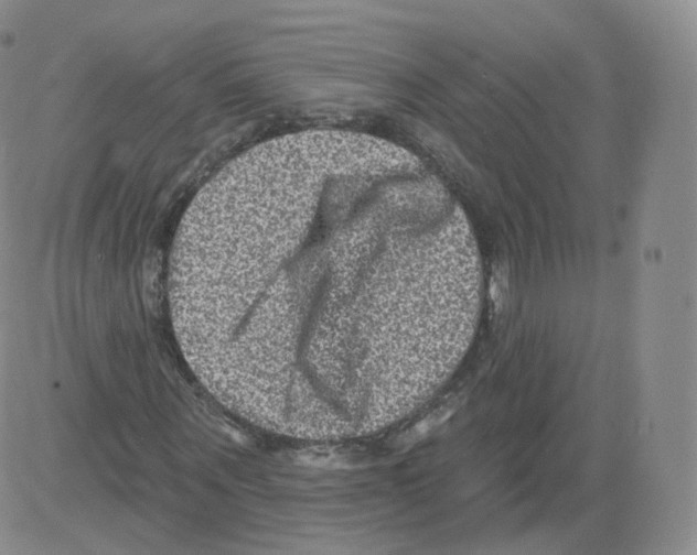 X0000082760867200702240102