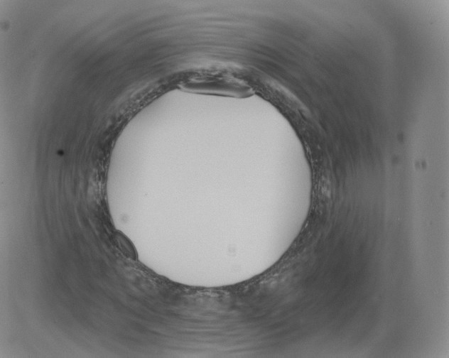 X0000082760869200702240102