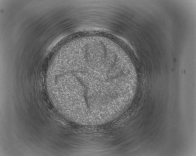 X0000082760871200702240102