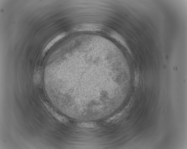 X0000082760874200702240102