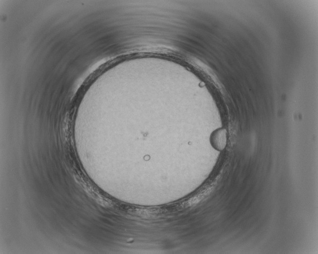 X0000082760875200702240102