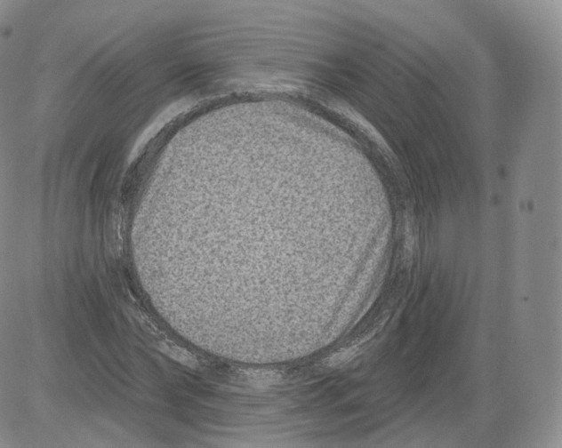 X0000082760878200702240102