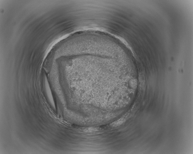 X0000082760879200702240102