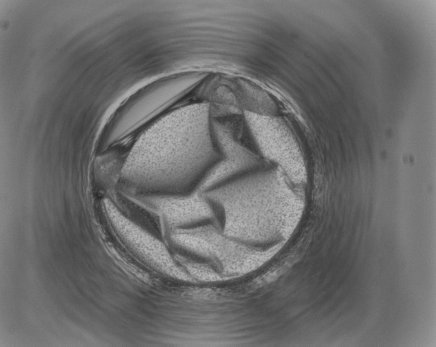 X0000082760880200702240102