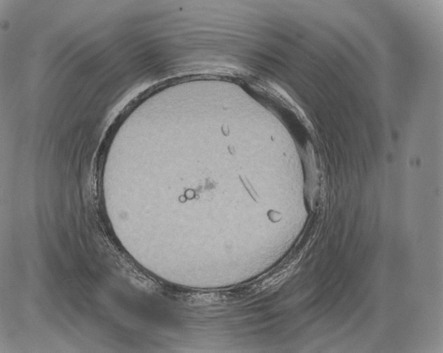 X0000082760883200702240102