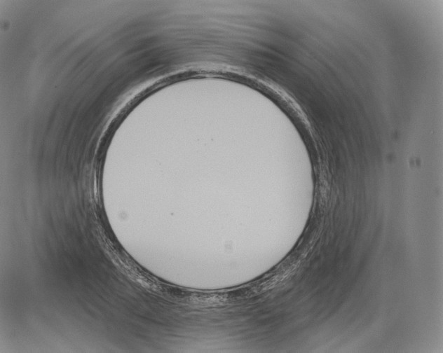 X0000082760887200702240102