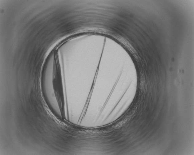 X0000082760888200702240102