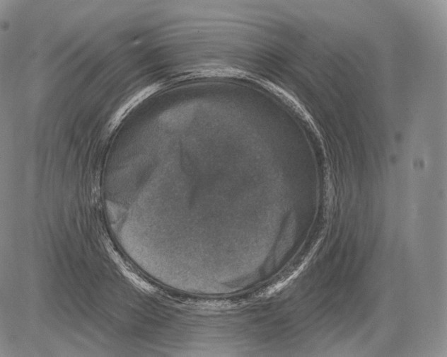 X0000082760889200702240102