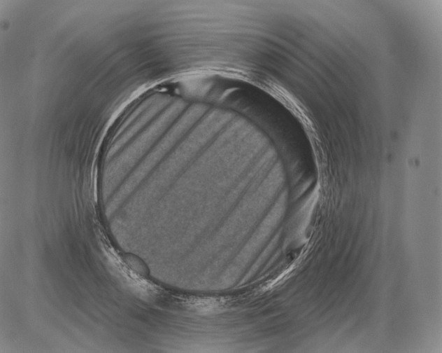 X0000082760892200702240102