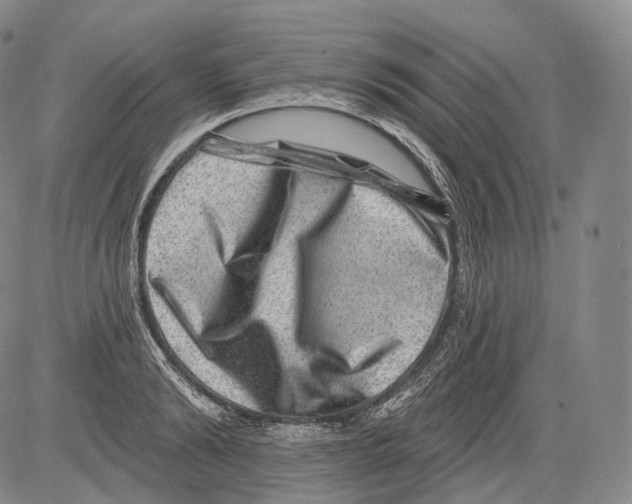 X0000082760894200702240101