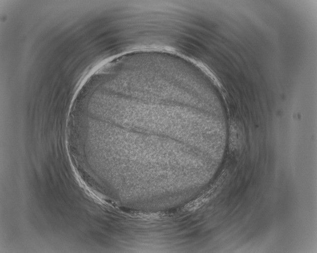 X0000082760895200702240101