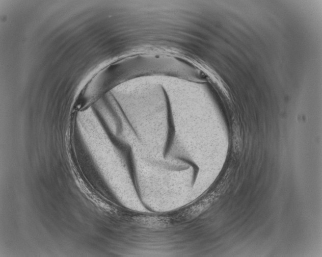 X0000082760896200702240101