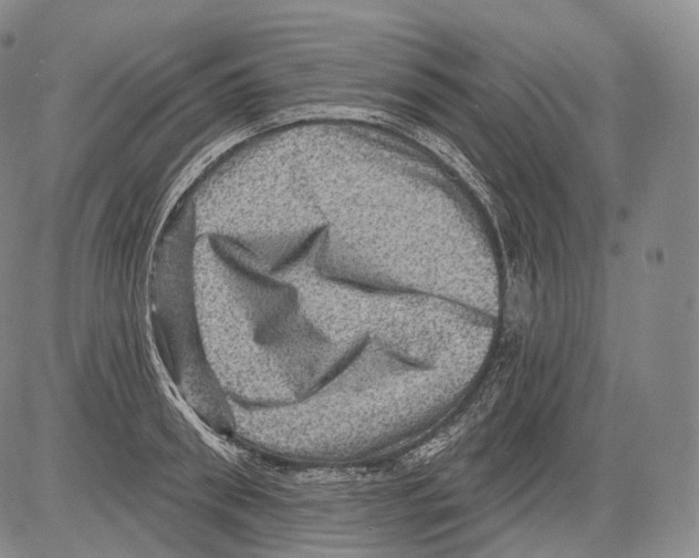 X0000082760898200702240101