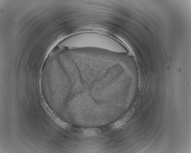 X0000082760899200702240101