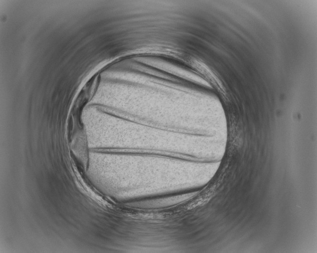 X0000082760900200702240101