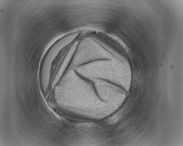 X0000082760902200702240101