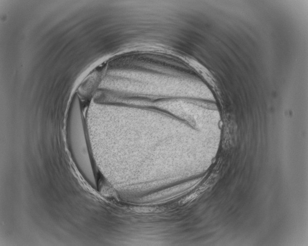 X0000082760904200702240101