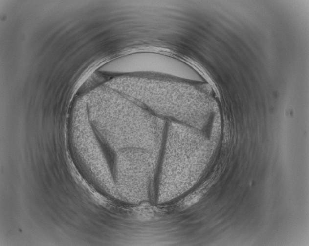 X0000082760906200702240101