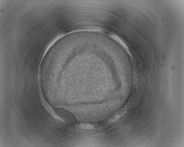 X0000082760907200702240101