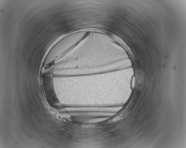 X0000082760908200702240101