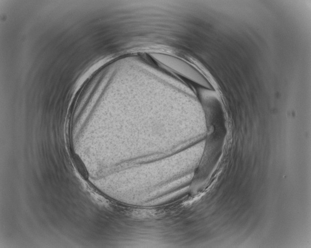 X0000082760909200702240101