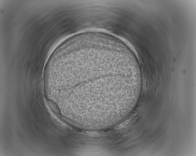 X0000082760911200702240101