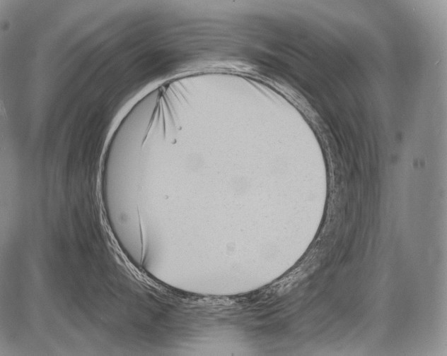 X0000082760912200702240101