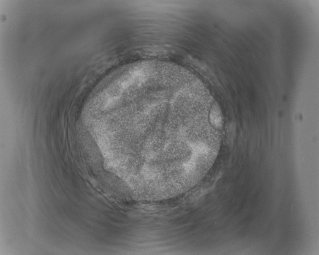 X0000082760913200702240100